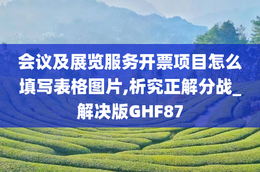 会议及展览服务开票项目怎么填写表格图片,析究正解分战_解决版GHF87