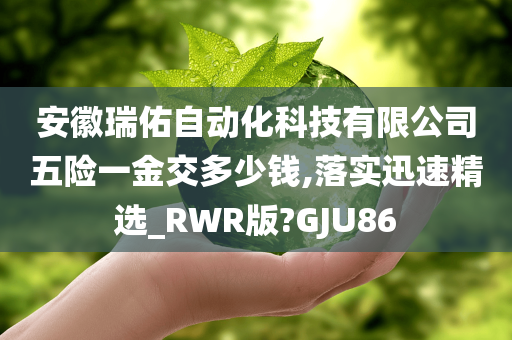 安徽瑞佑自动化科技有限公司五险一金交多少钱,落实迅速精选_RWR版?GJU86