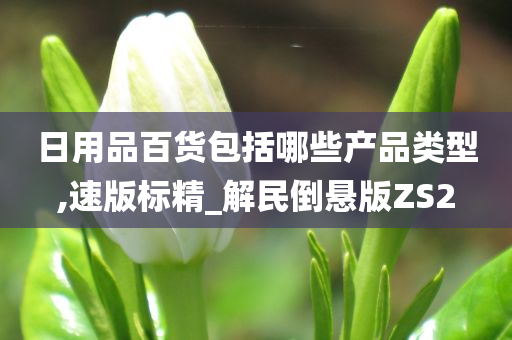 日用品百货包括哪些产品类型,速版标精_解民倒悬版ZS2