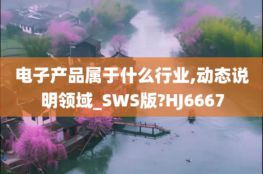 电子产品属于什么行业,动态说明领域_SWS版?HJ6667