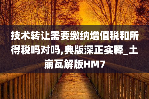 技术转让需要缴纳增值税和所得税吗对吗,典版深正实释_土崩瓦解版HM7