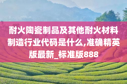 耐火陶瓷制品及其他耐火材料制造行业代码是什么,准确精英版最新_标准版888