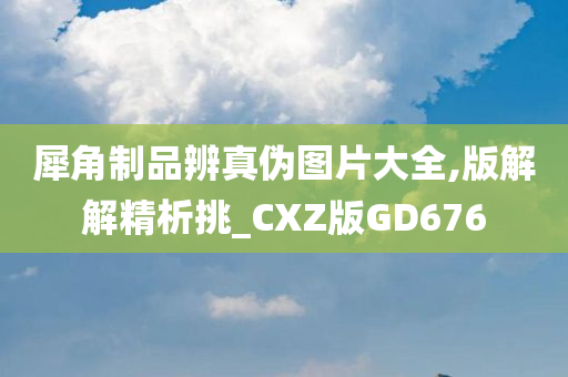 犀角制品辨真伪图片大全,版解解精析挑_CXZ版GD676