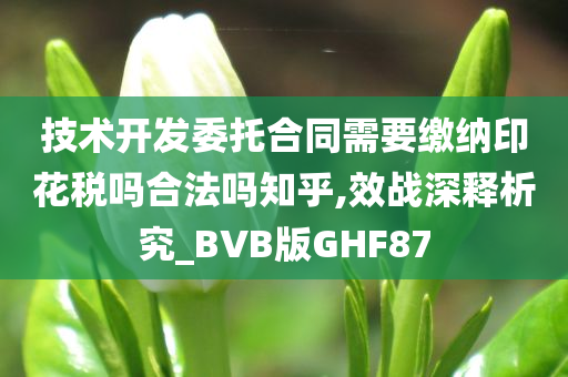 技术开发委托合同需要缴纳印花税吗合法吗知乎,效战深释析究_BVB版GHF87