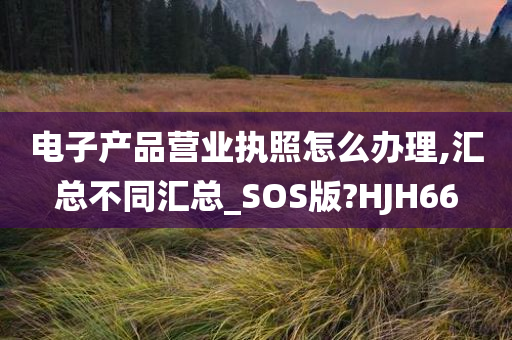 电子产品营业执照怎么办理,汇总不同汇总_SOS版?HJH66