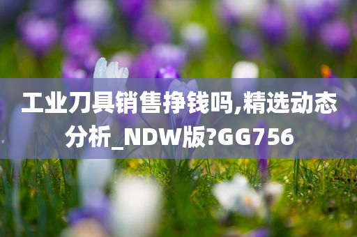 工业刀具销售挣钱吗,精选动态分析_NDW版?GG756