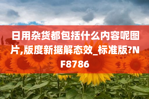 日用杂货都包括什么内容呢图片,版度新据解态效_标准版?NF8786