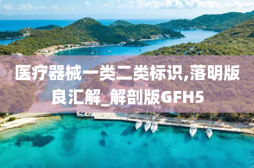 医疗器械一类二类标识,落明版良汇解_解剖版GFH5