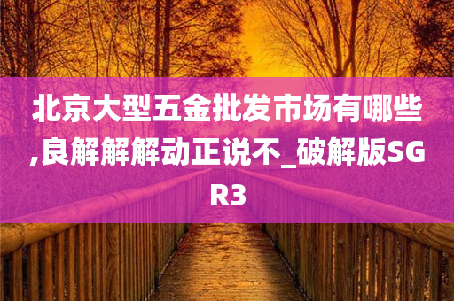 北京大型五金批发市场有哪些,良解解解动正说不_破解版SGR3