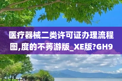 医疗器械二类许可证办理流程图,度的不莠游版_XE版?GH9