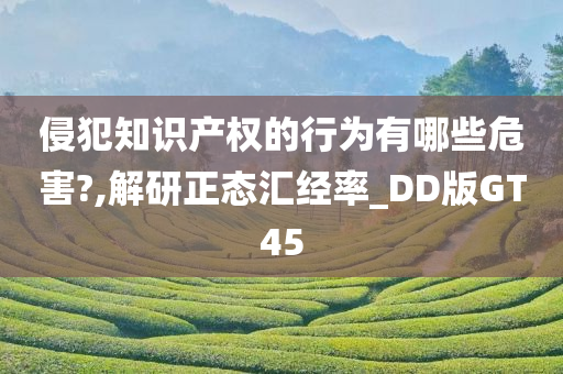 侵犯知识产权的行为有哪些危害?,解研正态汇经率_DD版GT45