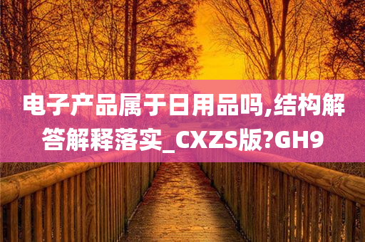 电子产品属于日用品吗,结构解答解释落实_CXZS版?GH9