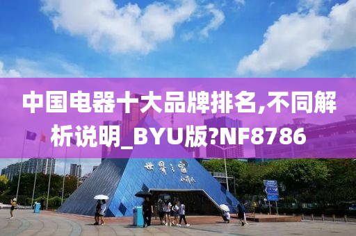 中国电器十大品牌排名,不同解析说明_BYU版?NF8786