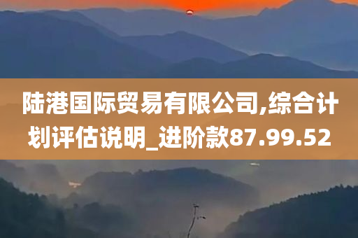 陆港国际贸易有限公司,综合计划评估说明_进阶款87.99.52