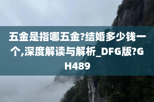 五金是指哪五金?结婚多少钱一个,深度解读与解析_DFG版?GH489