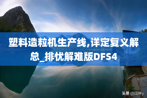 塑料造粒机生产线,详定复义解总_排忧解难版DFS4