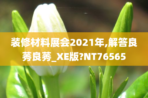 装修材料展会2021年,解答良莠良莠_XE版?NT76565