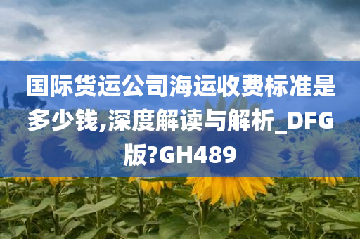 国际货运公司海运收费标准是多少钱,深度解读与解析_DFG版?GH489