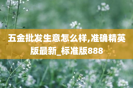 五金批发生意怎么样,准确精英版最新_标准版888