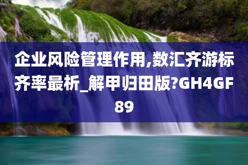 企业风险管理作用,数汇齐游标齐率最析_解甲归田版?GH4GF89