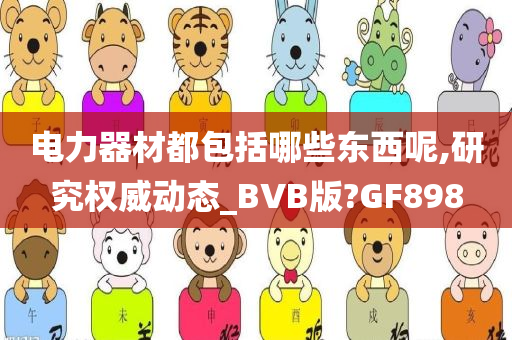 电力器材都包括哪些东西呢,研究权威动态_BVB版?GF898