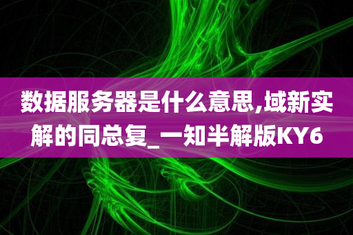 数据服务器是什么意思,域新实解的同总复_一知半解版KY6