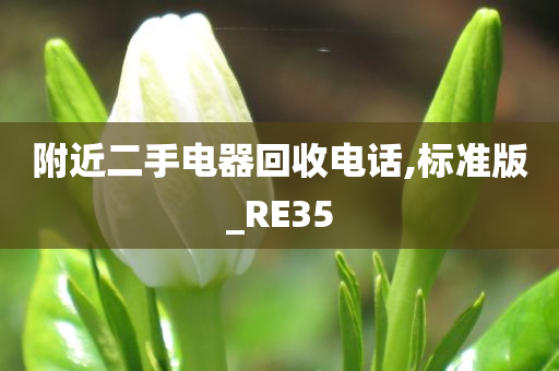 附近二手电器回收电话,标准版_RE35