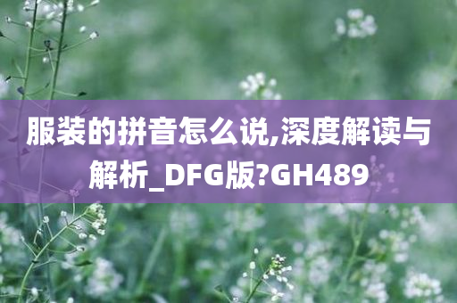 服装的拼音怎么说,深度解读与解析_DFG版?GH489