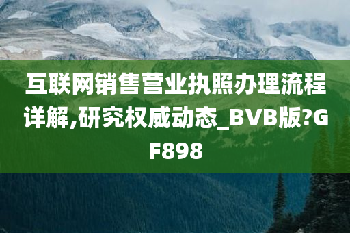 互联网销售营业执照办理流程详解,研究权威动态_BVB版?GF898