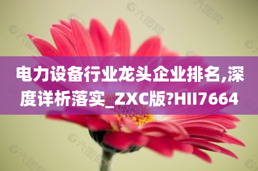 电力设备行业龙头企业排名,深度详析落实_ZXC版?HII7664