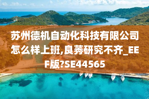 苏州德机自动化科技有限公司怎么样上班,良莠研究不齐_EEF版?SE44565