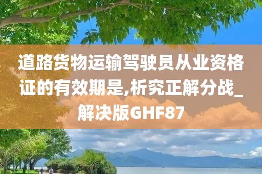 道路货物运输驾驶员从业资格证的有效期是,析究正解分战_解决版GHF87