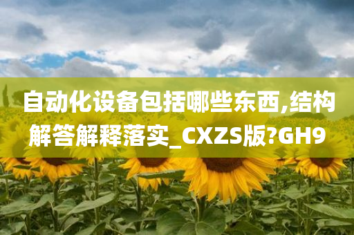 自动化设备包括哪些东西,结构解答解释落实_CXZS版?GH9