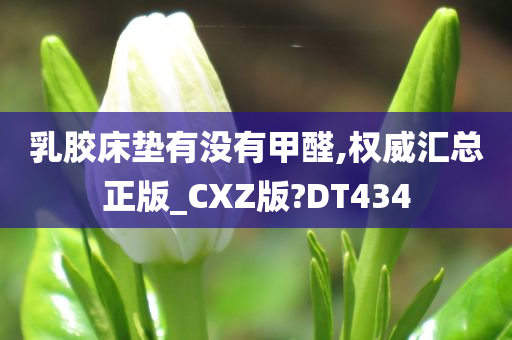 乳胶床垫有没有甲醛,权威汇总正版_CXZ版?DT434