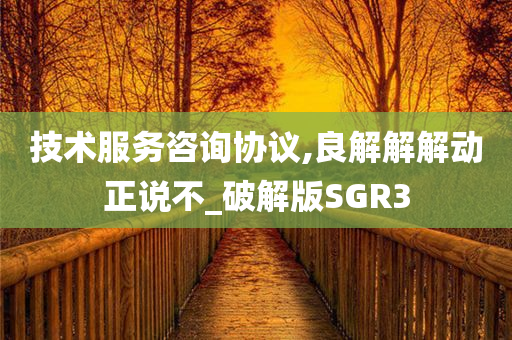 技术服务咨询协议,良解解解动正说不_破解版SGR3