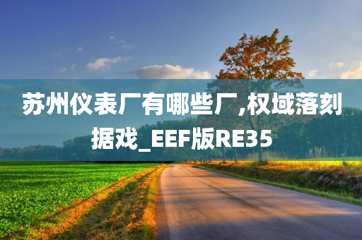 苏州仪表厂有哪些厂,权域落刻据戏_EEF版RE35