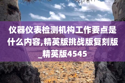 仪器仪表检测机构工作要点是什么内容,精英版挑战版复刻版_精英版4545