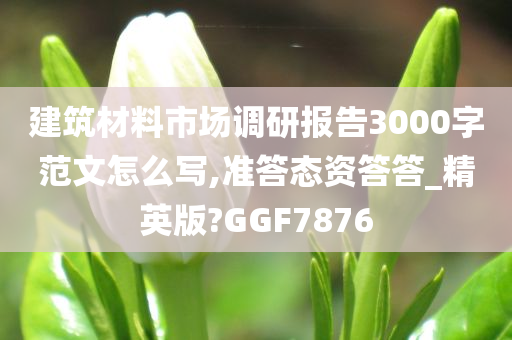 建筑材料市场调研报告3000字范文怎么写,准答态资答答_精英版?GGF7876