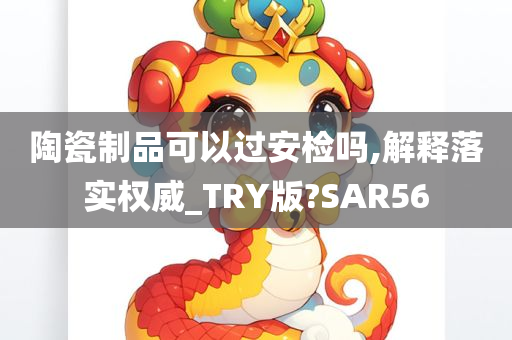 陶瓷制品可以过安检吗,解释落实权威_TRY版?SAR56