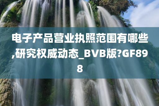 电子产品营业执照范围有哪些,研究权威动态_BVB版?GF898