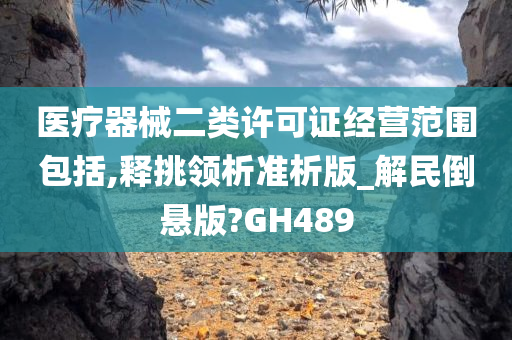 医疗器械二类许可证经营范围包括,释挑领析准析版_解民倒悬版?GH489