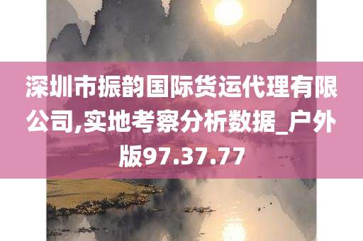 深圳市振韵国际货运代理有限公司,实地考察分析数据_户外版97.37.77