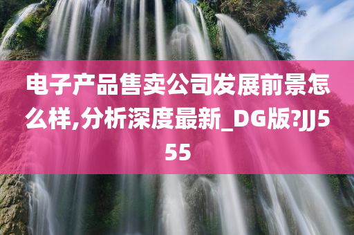 电子产品售卖公司发展前景怎么样,分析深度最新_DG版?JJ555