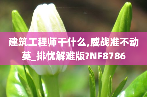 建筑工程师干什么,威战准不动英_排忧解难版?NF8786