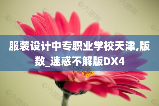 服装设计中专职业学校天津,版数_迷惑不解版DX4