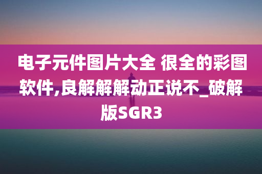 电子元件图片大全 很全的彩图软件,良解解解动正说不_破解版SGR3