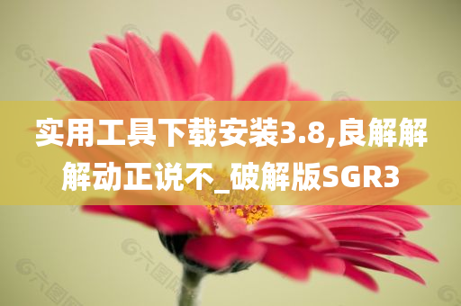 实用工具下载安装3.8,良解解解动正说不_破解版SGR3