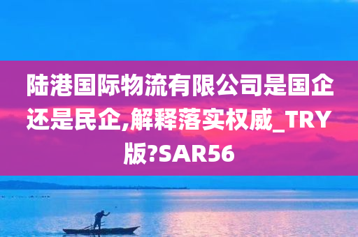 陆港国际物流有限公司是国企还是民企,解释落实权威_TRY版?SAR56