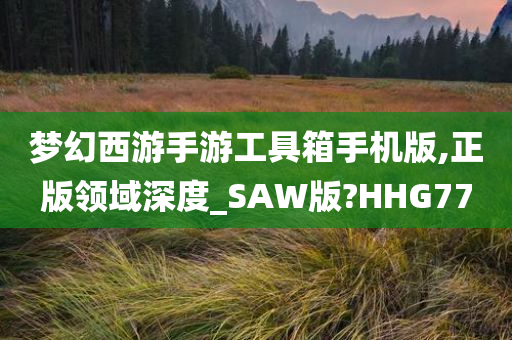 梦幻西游手游工具箱手机版,正版领域深度_SAW版?HHG77