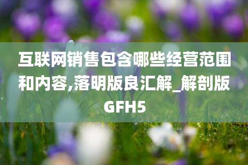 互联网销售包含哪些经营范围和内容,落明版良汇解_解剖版GFH5